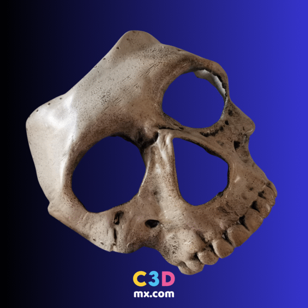 Mascara - Ghost Call Of Duty